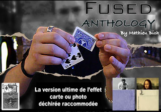 Jaquette du tour Shadow Art de Mathieu Bich, où un ombre se transforme à vue... 