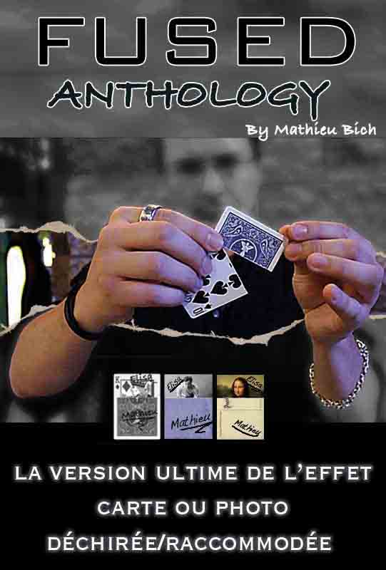 Photo du tour Fused de Mathieu Bich, un effet de photo déchirée raccomodée incroyable 